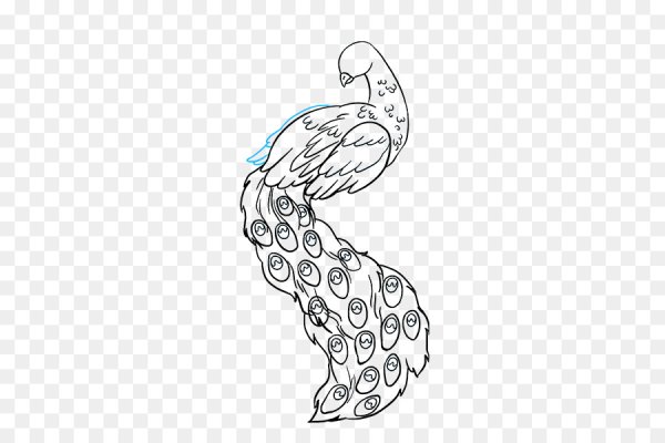 Как нарисовать павлина поэтапно