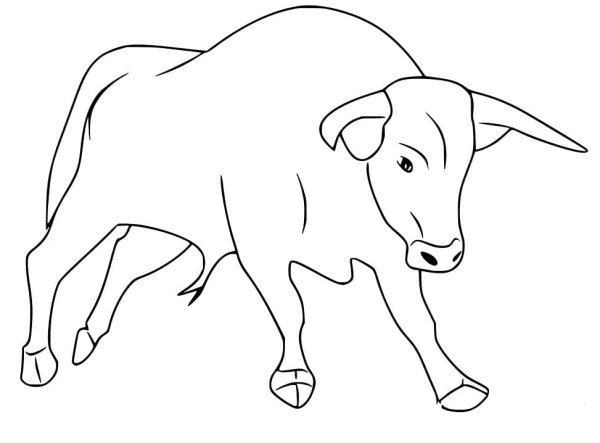 Бык раскраска