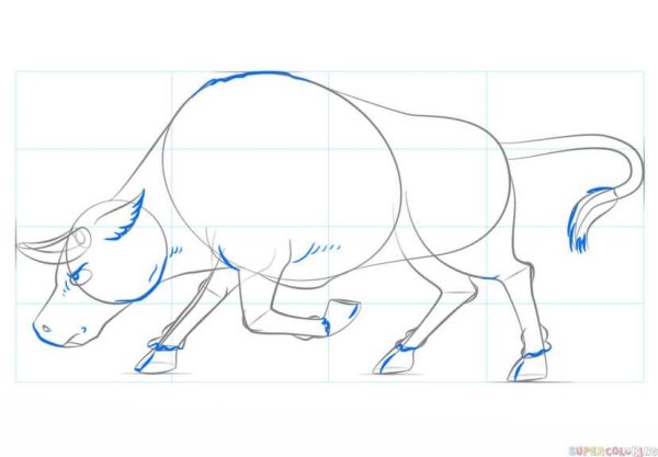 Поэтаповое рисование быка