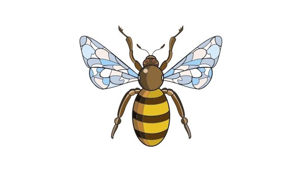 Поэтапное рисование пчелы