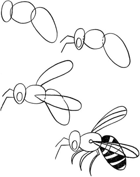 Схемы рисования насекомых