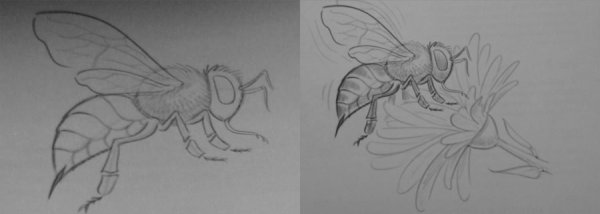 Оса поэтапное рисование