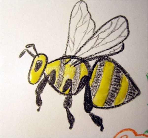 Оса раскраска для детей