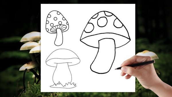 Поэтапное рисование грибов