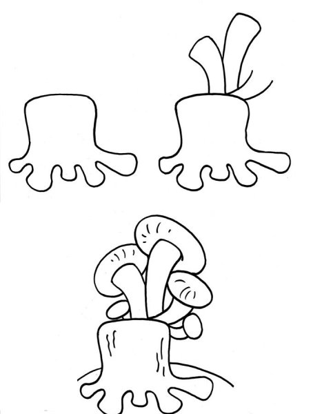 Поэтапное рисование гриба