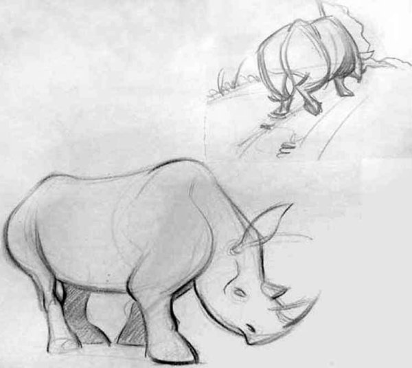 Поэтапное рисование носорога
