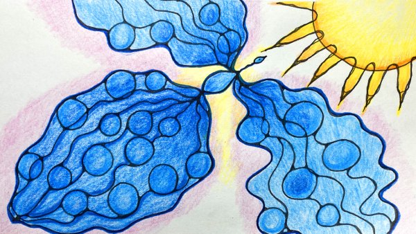 Кит для срисовки