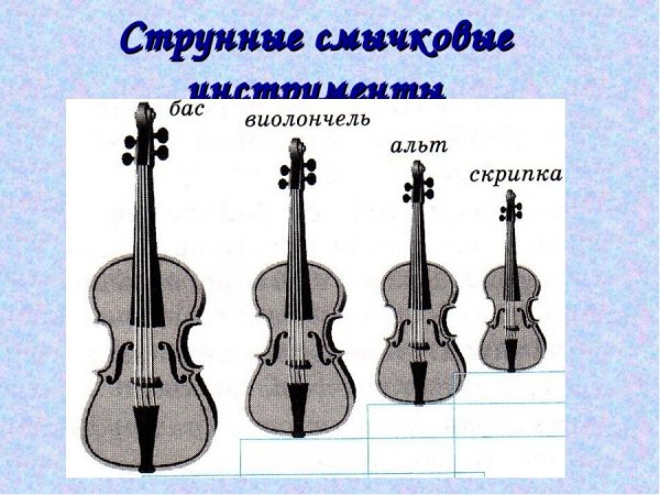 Раскраска контрабас музыкальный инструмент