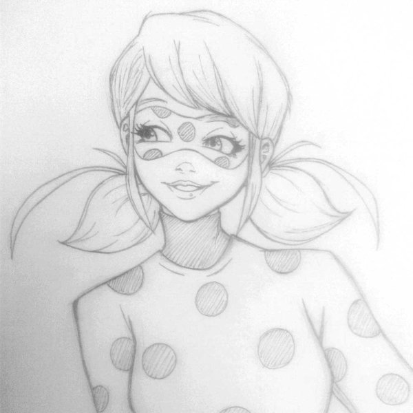 Рисунки. Лидебак. И. СУПЕРКОТ