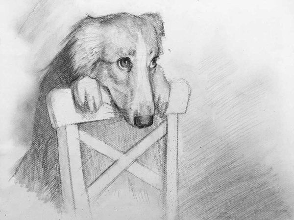 Рисунки карандашом