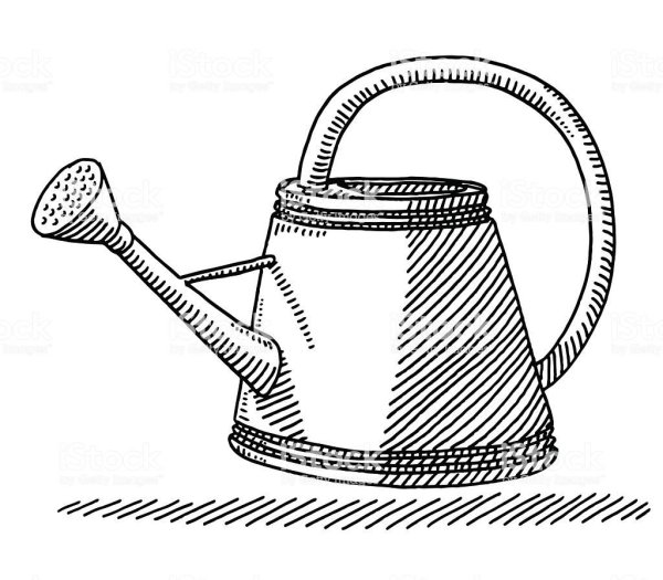 Лейка Графика