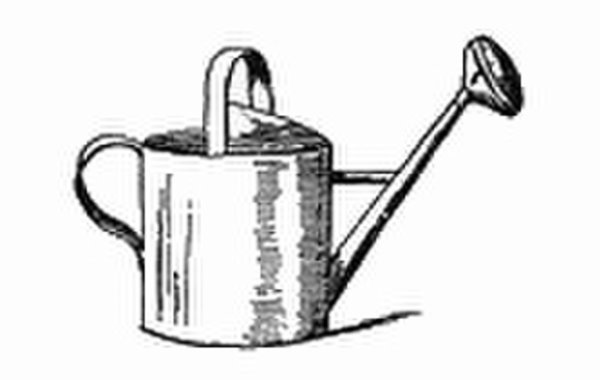 Лейка рисунок карандашом 7 класс