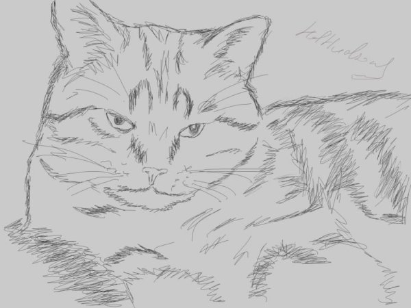 Рисунок киси МИСИ рисунок