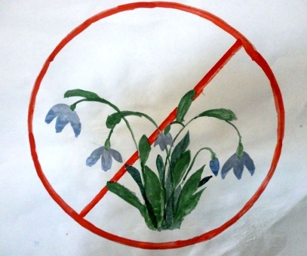 Плакат защита природы