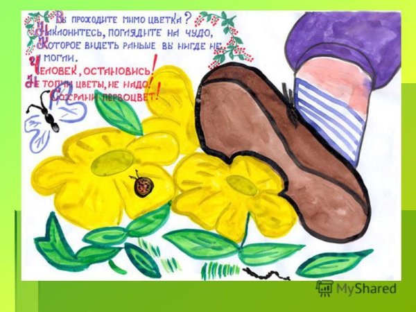 Берегите растения знаки