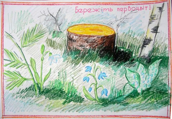 Плакат береги природу