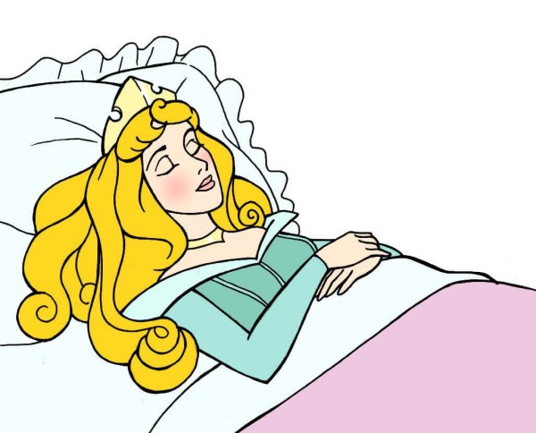 Шарль Перро спящая красавица рисунок
