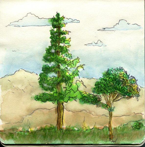 Рисование смешанного леса