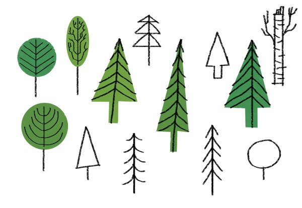 Деревья в лесу