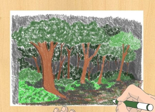 Рисунки леса легкие