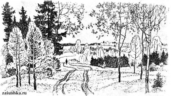 Нарисуй как ты представляешь себе разные леса