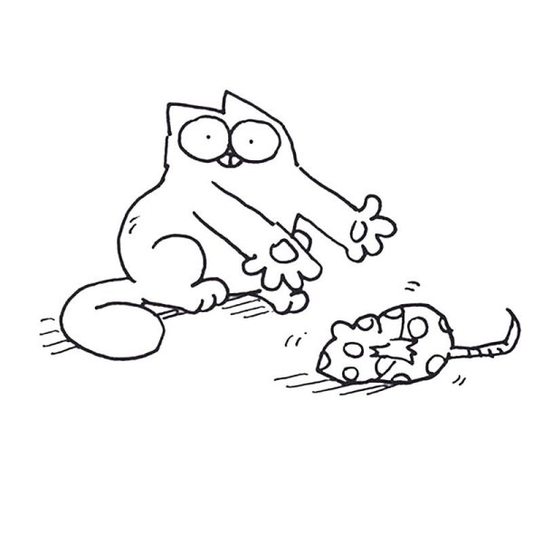 Кот Саймон для срисовки