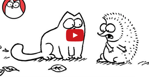 Кот Саймона мультсериал