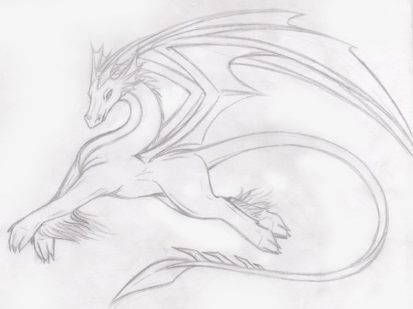 Драконы для срисовки легкие