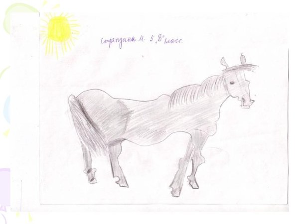 Иллюстрации к произведению к Паустовского теплый хлеб для детей