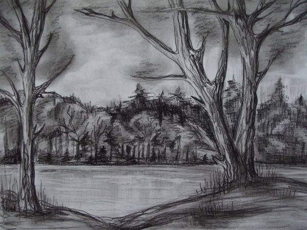 Пейзаж карандашом