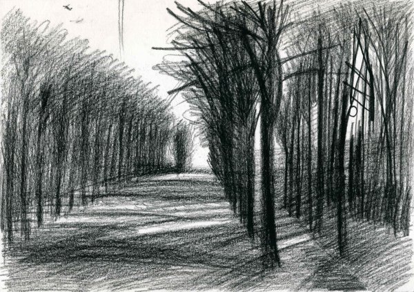 Рисование углем для начинающих