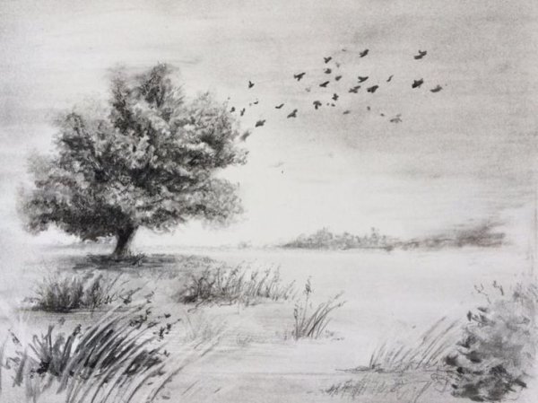 Рисунки углем пейзаж