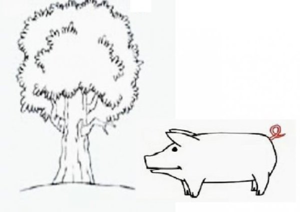 Иллюстрация к басне свинья под дубом раскраски