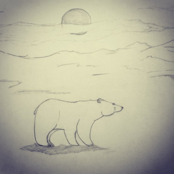 Белая Медведица рисунок