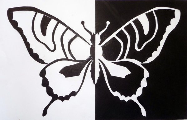 Симметрия черно белая