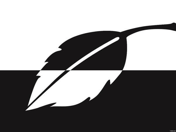 Рисунок резкий контраст чёрного и белого