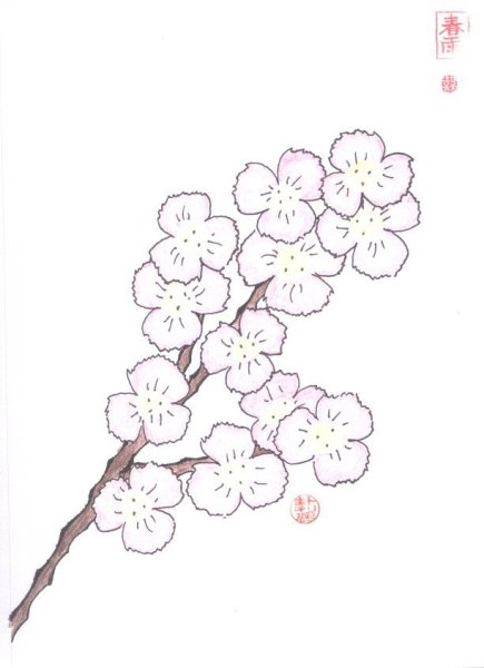 Ветка Сакуры для рисования