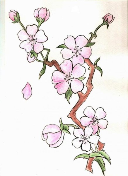 Ветка с цветами трафарет