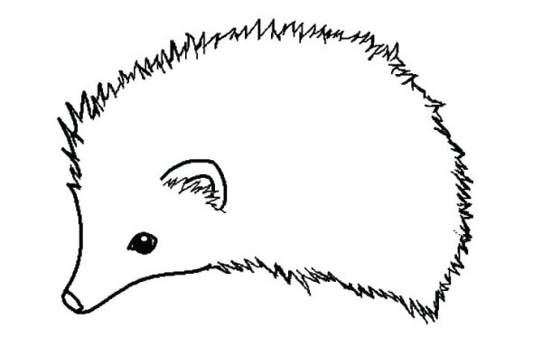 Ёжик для срисовки