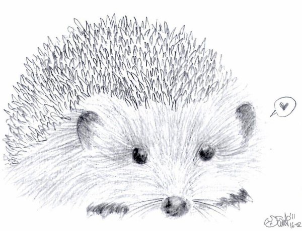 Ежик детский рисунок
