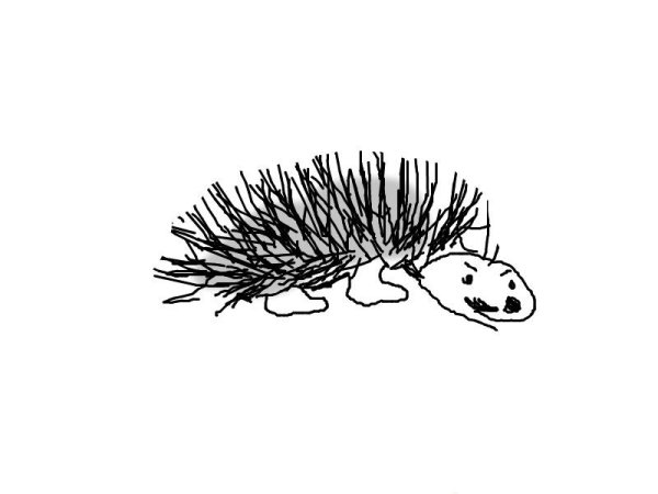 Нарисовать Ёжика карандашом
