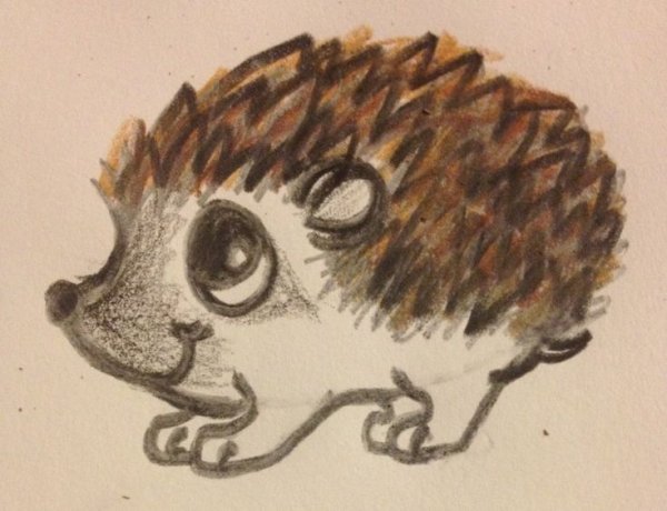 Ежик рисунок