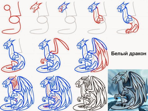 Рисунок дракона для срисовки