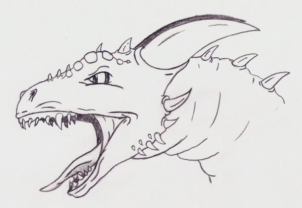 Дракон тату эскиз