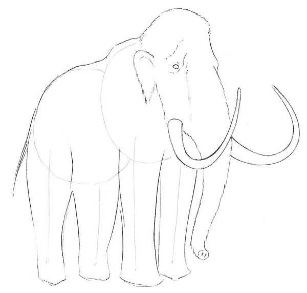Мамонт карандашом