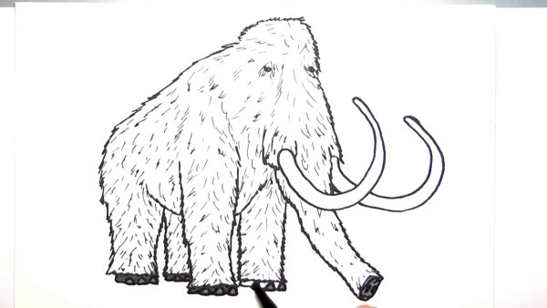 Мамонт рисунок