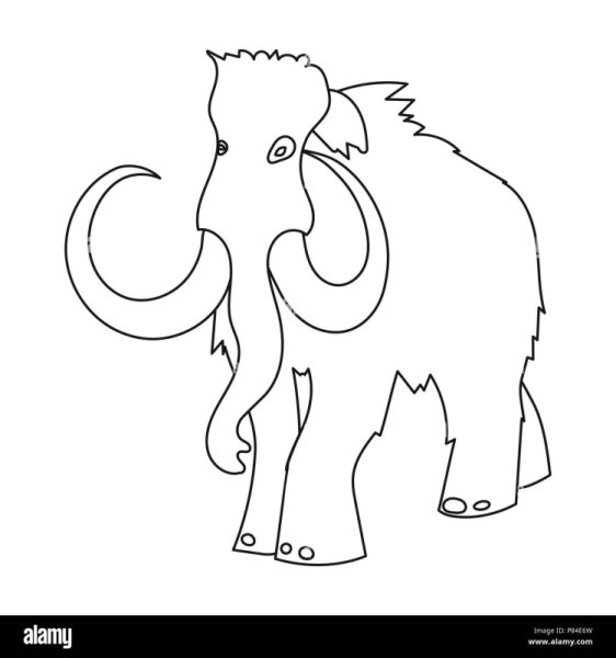 Мамонт схематично