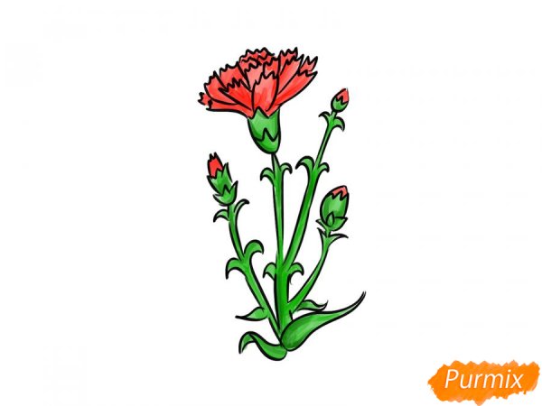 Гвоздика рисунок для детей