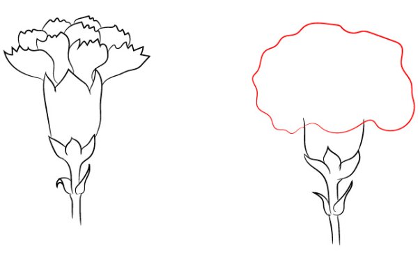 Нарисовать гвоздику