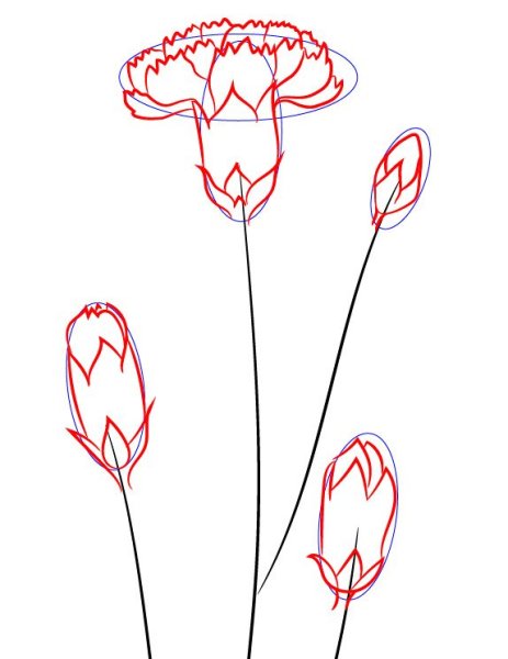 Гвоздика карандашом